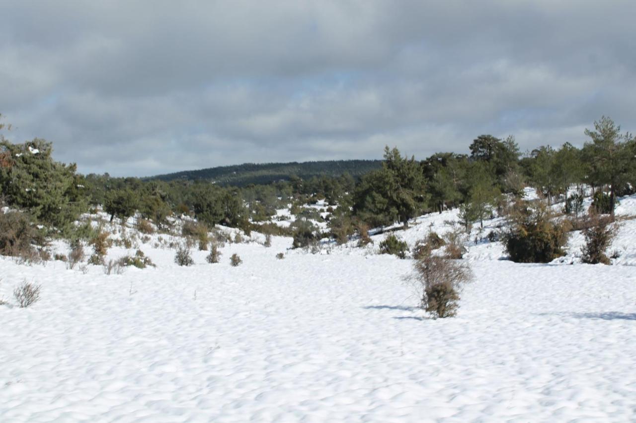 Tejadillos * Cuenca (Castilla-La Mancha)